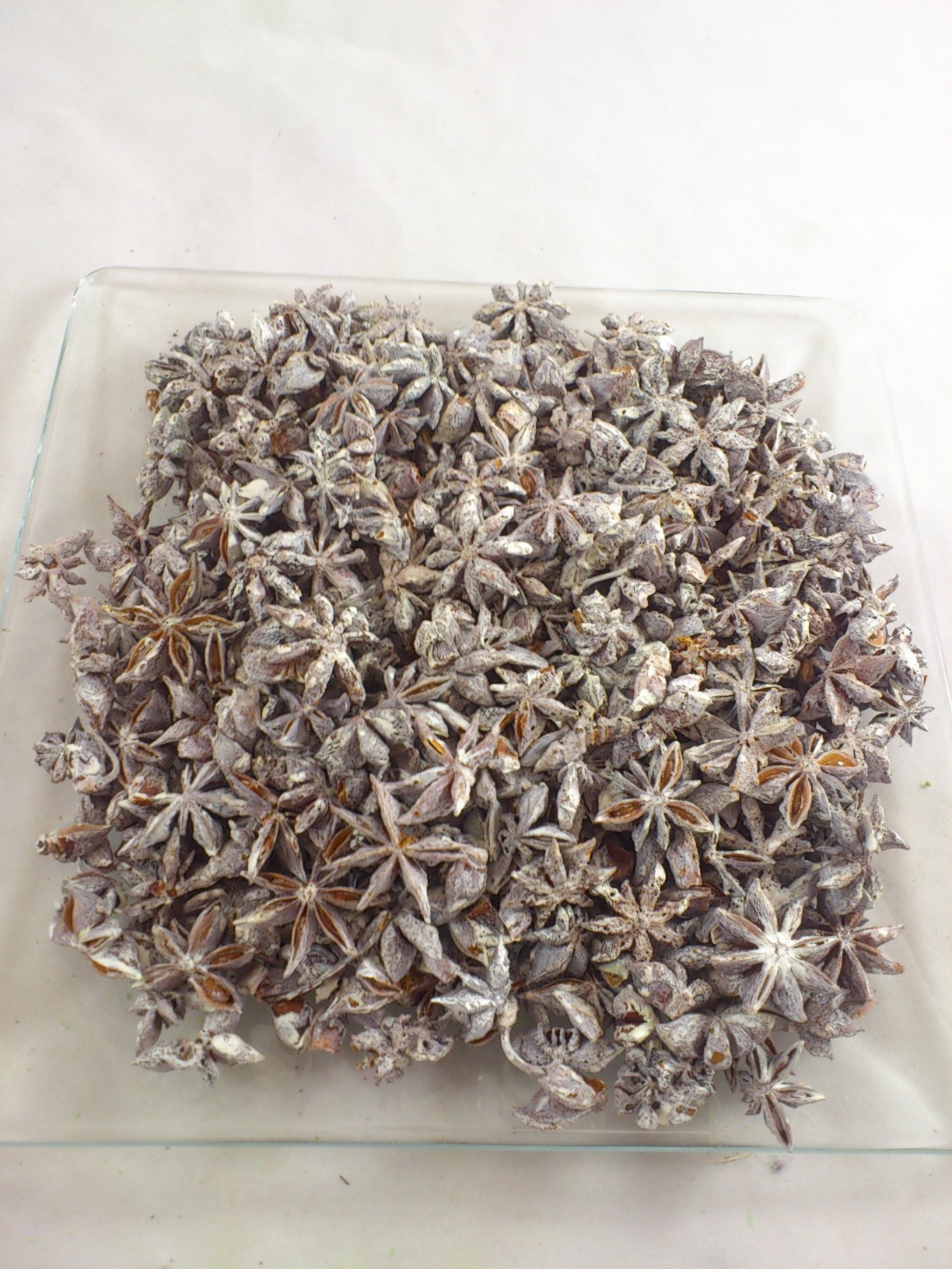 Star anise whitewash 370 gr.